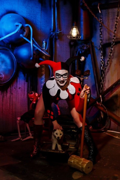 Harley Quinn dospělý vzor archiv